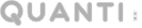 quanti.png